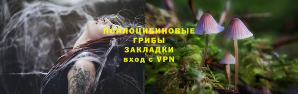 твердый Волоколамск