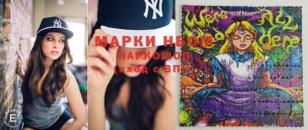 прущие грибы Верея